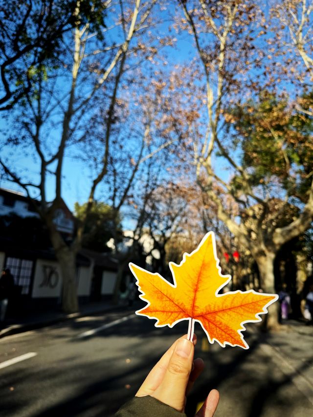 逛吃武康路 | 邂逅上海的文藝與煙火