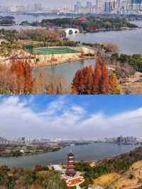 被南昌象湖濕地公園治癒了