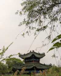 【鐵塔公園,鐵塔下的美好時光】