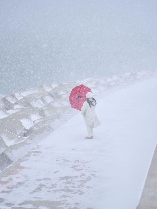 大連｜海邊雪景美翻了！附攻略！