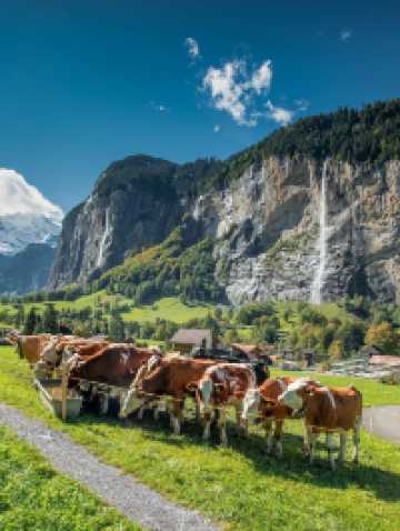 歐洲連遊12日 超詳細行程攻略必收藏