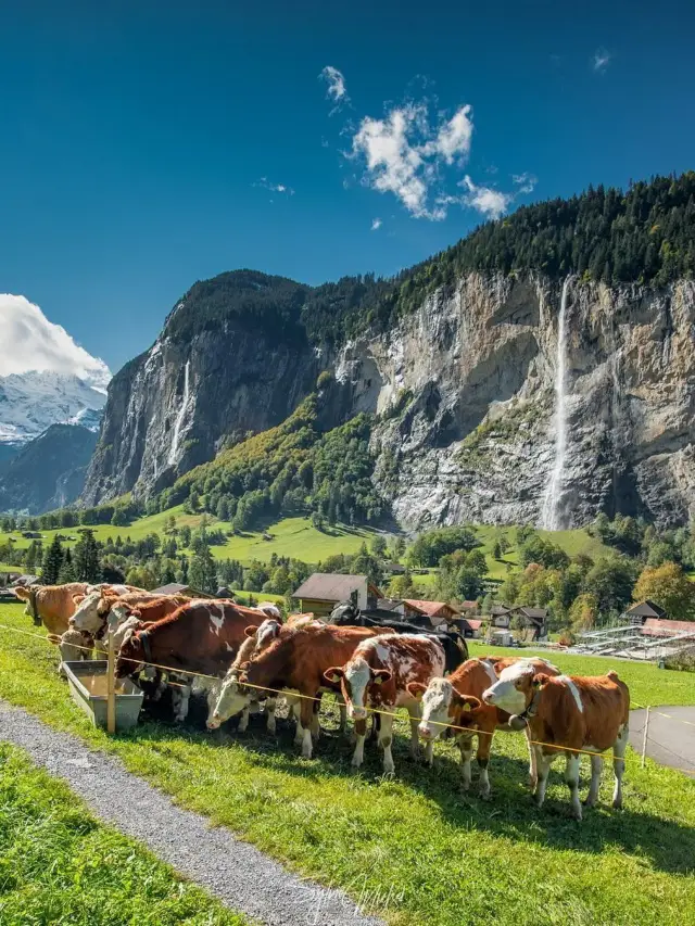 歐洲連遊12日 超詳細行程攻略必收藏