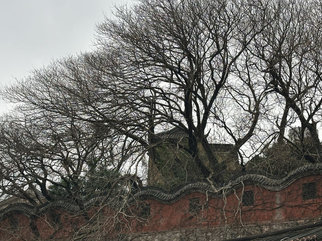來趟茅山吧