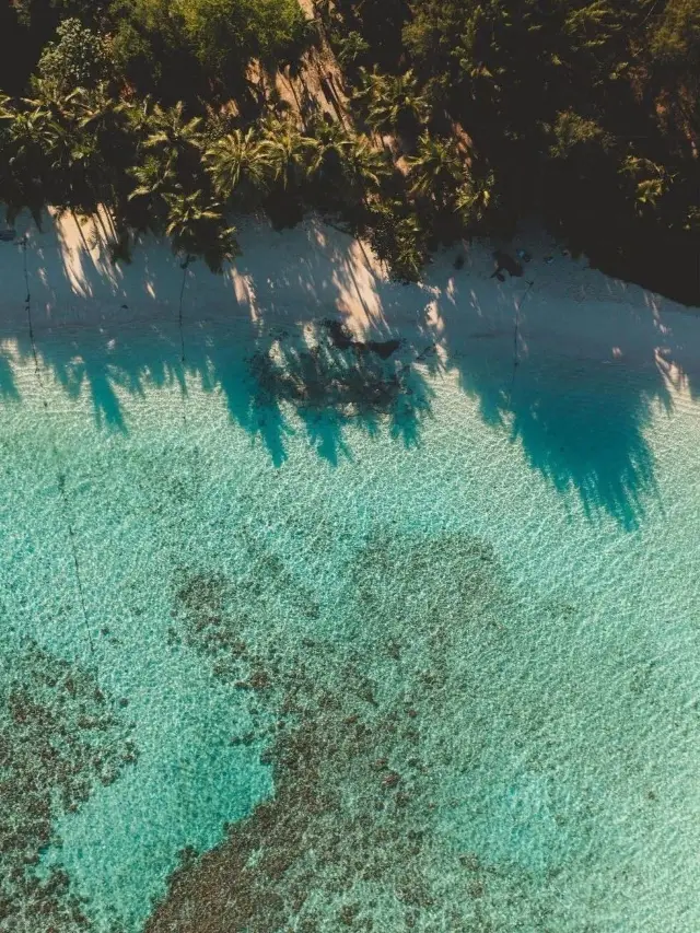 미국 | 6일 심층 여행 필수 가이드