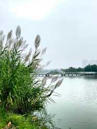 天門東湖公園