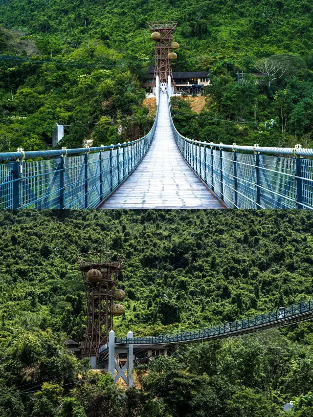 過年海口-三亞森林小徑漫步 釋放你的自然氣息