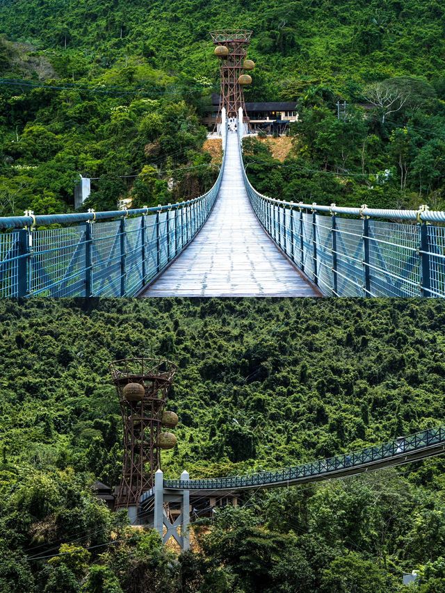 過年海口-三亞森林小徑漫步 釋放你的自然氣息