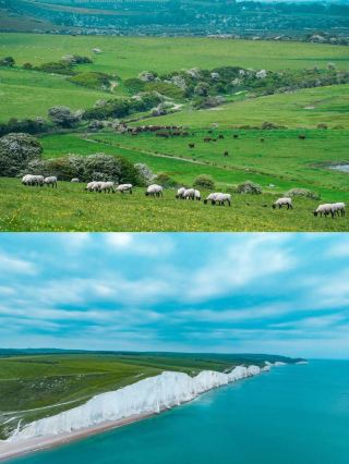 Head to Bridlington: A Two-Day Dreamy British Seaside Adventure