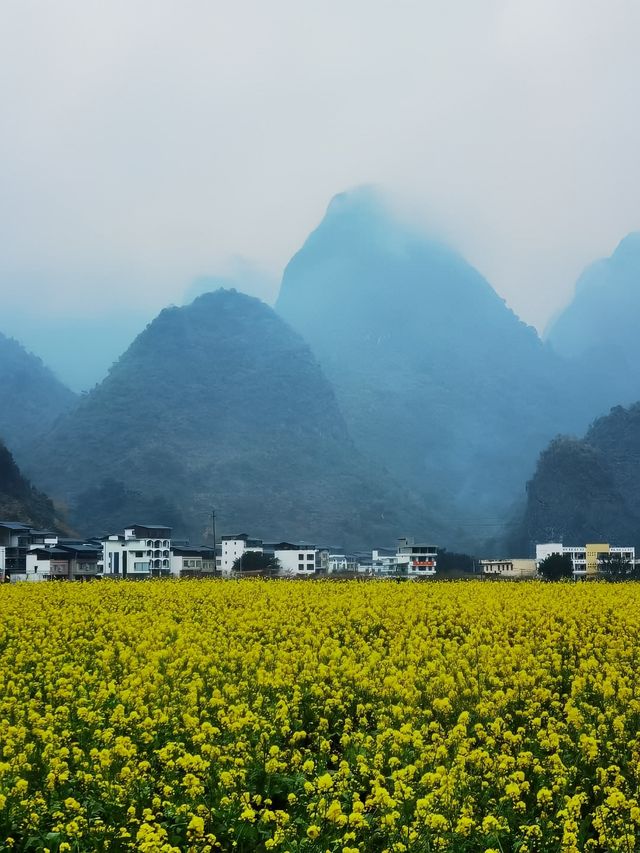河池那坡風光