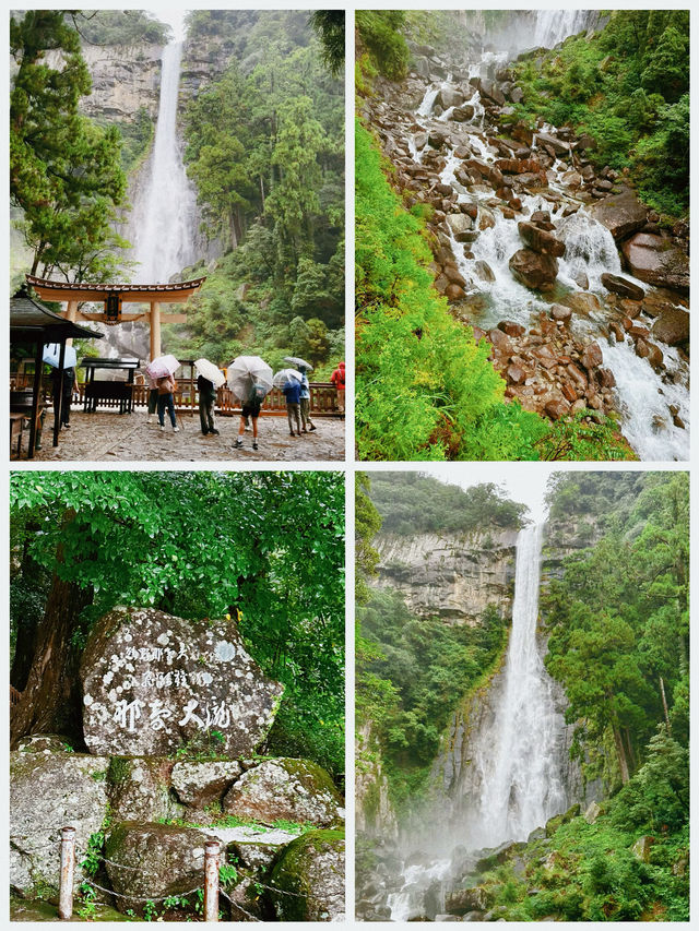 日本之旅·熊野古道｜純玩一日遊攻略 徒步穿越深山峻嶺