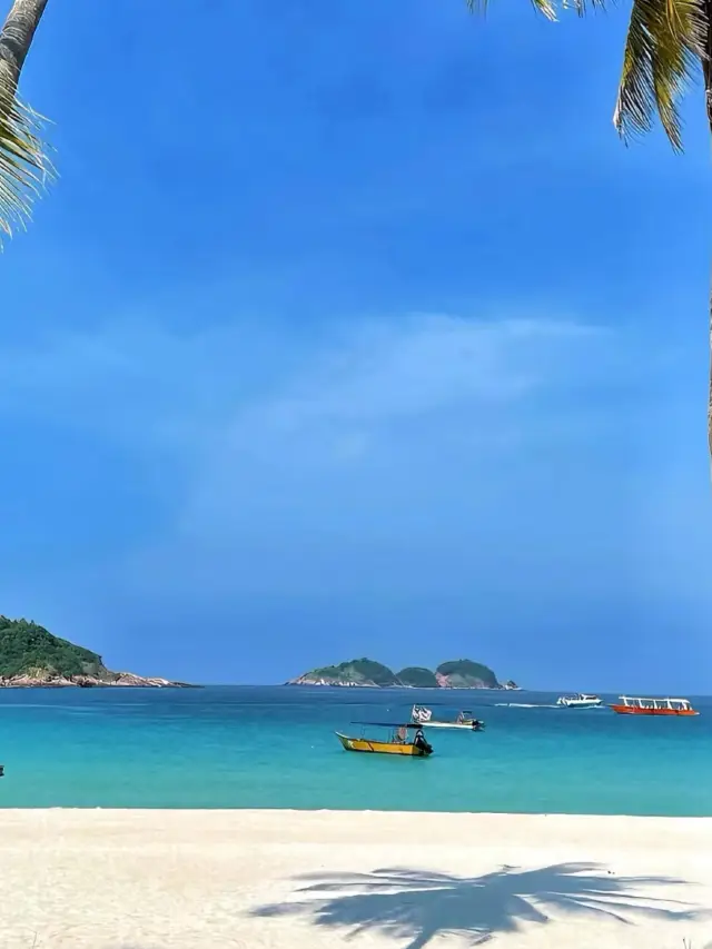 Dive into the Deep Blue of Guam and Encounter a Dreamy Underwater World