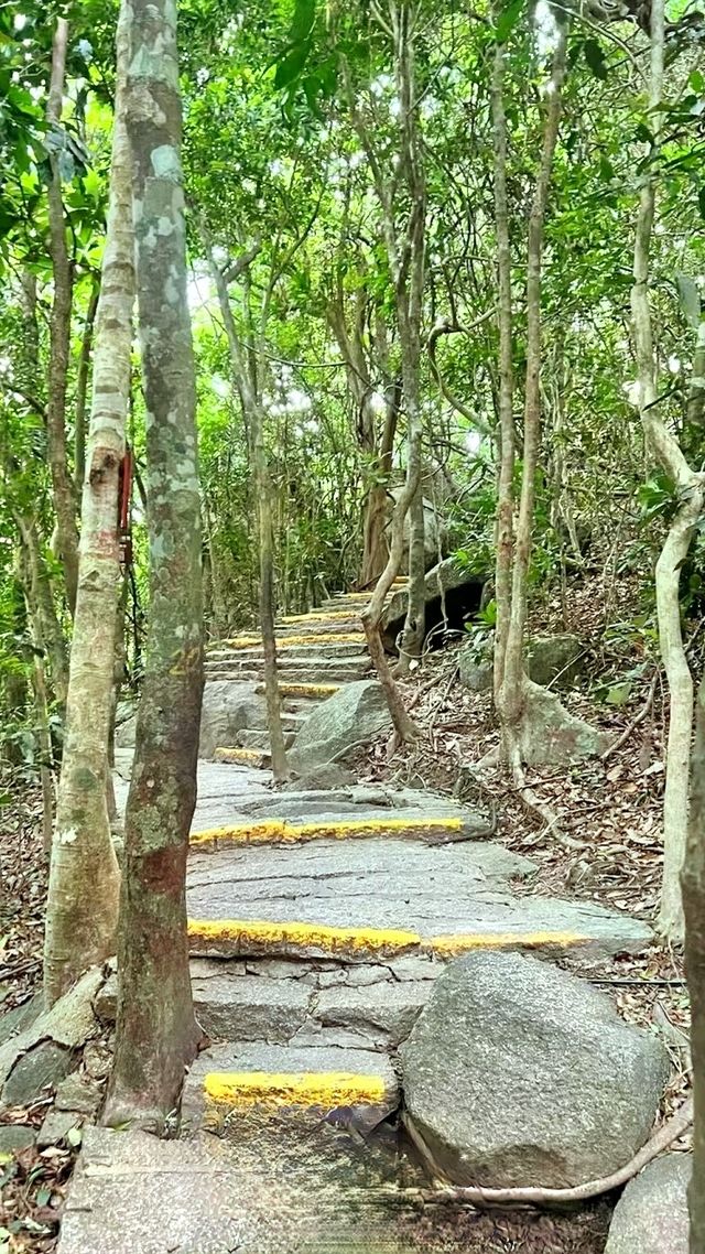 亞龍灣熱帶天堂森林公園，這樣玩才夠味