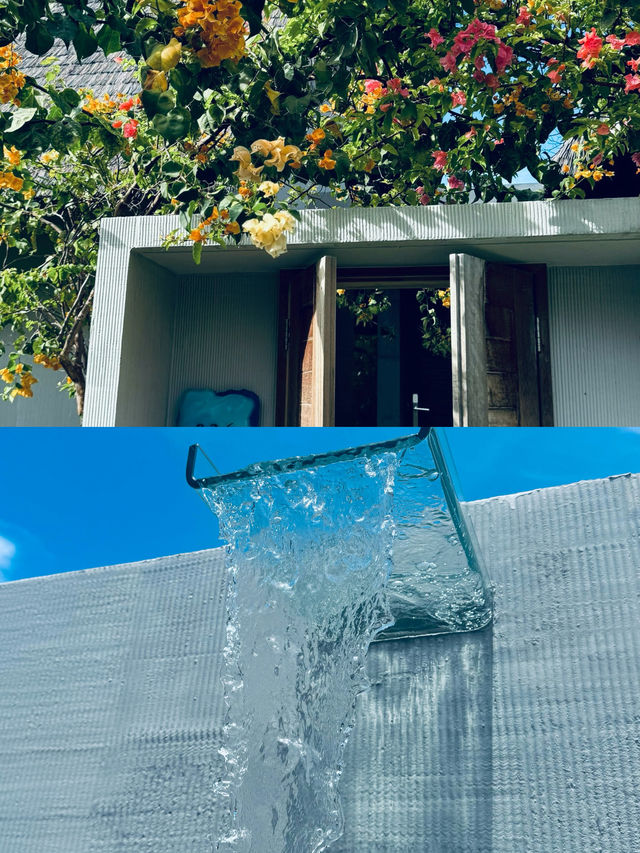 馬爾代夫馬富士島潛水愛好者的天堂