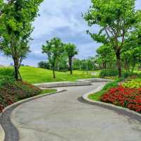 絕美拍照聖地，隨手一拍都是大片！🌸