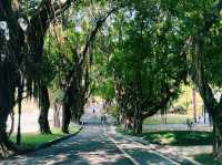 深圳南山區著名景點：中山公園，適合拍照打卡觀光旅遊。 