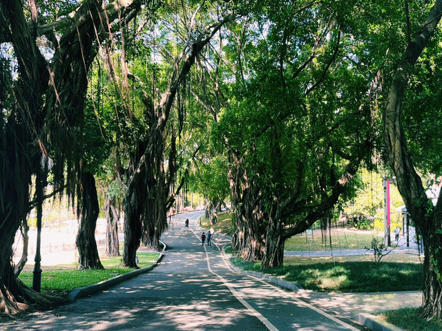 深圳南山區著名景點：中山公園，適合拍照打卡觀光旅遊。 