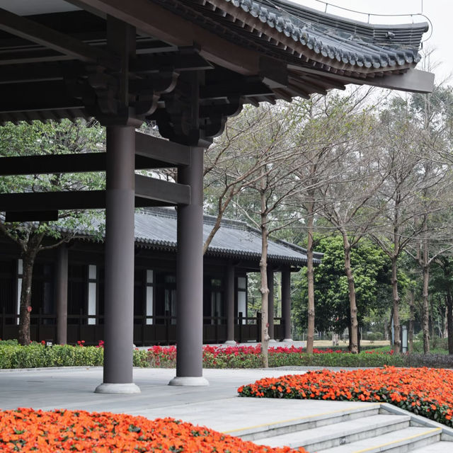 比起雲台花園🌸更愛廣州古風庭院繡球花海