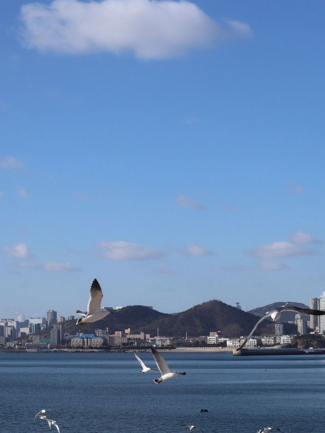 親測有效大連3日遊攻略  錯過可惜