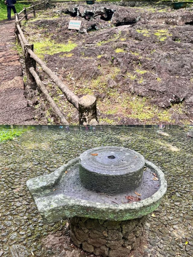 海口火山口地質公園︱邂逅億萬年火山奇觀