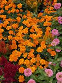 Worlds of Wonder At Hamilton Gardens, You Can’t Miss this!
