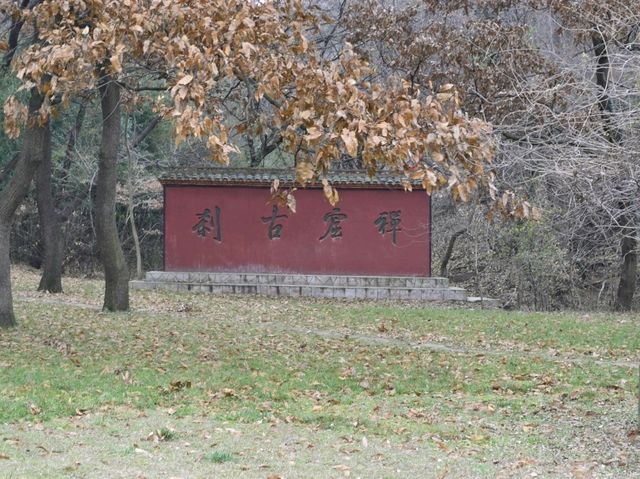 美丽的狼巷迷谷