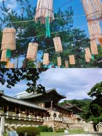 安東市的介紹