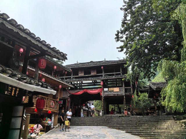 邵陽｜黃桑就像綠色暴擊，這才是未開發的人間仙境