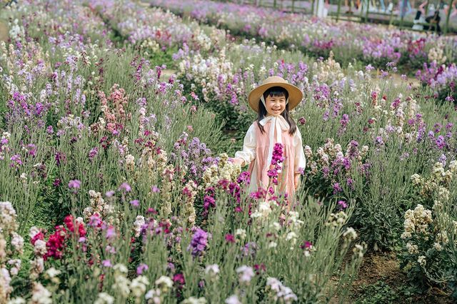 廣佛1小時直達心動樂園，闖入油畫裡的童話世界