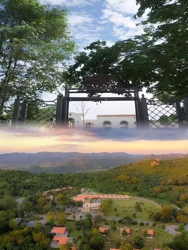 嘩！梅拉花園度假小屋的夢幻住宿奇遇