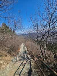 雪後香山親子遠足賞花（附路線）