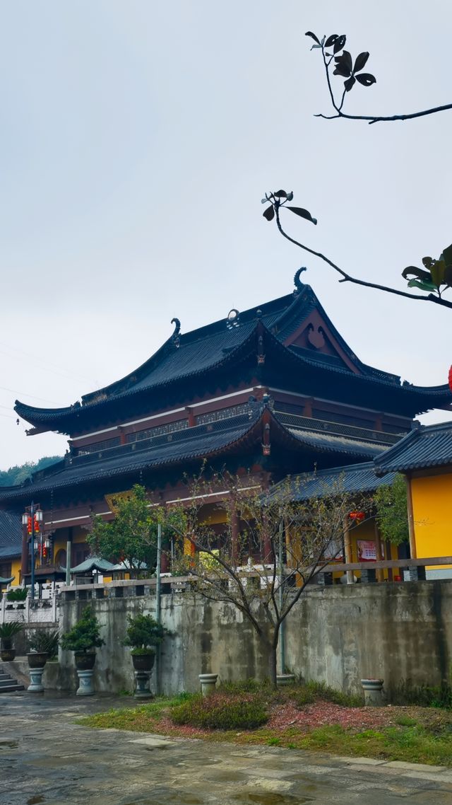 探秘良渚大雄講寺，這裡竟然藏了這麼多秘密！