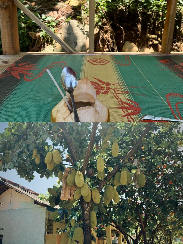 茂物｜逃離喧囂，邂逅茂物！雅加達的「後花園」