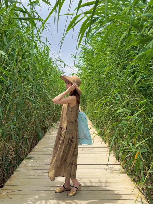 博斯騰湖景區詳細旅遊攻略