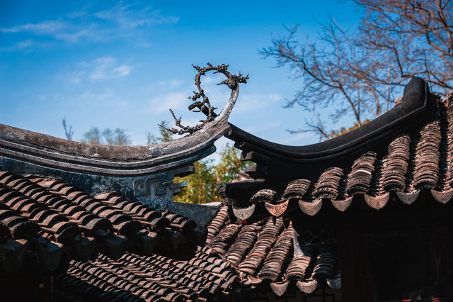 三月耦園打卡玉蘭花