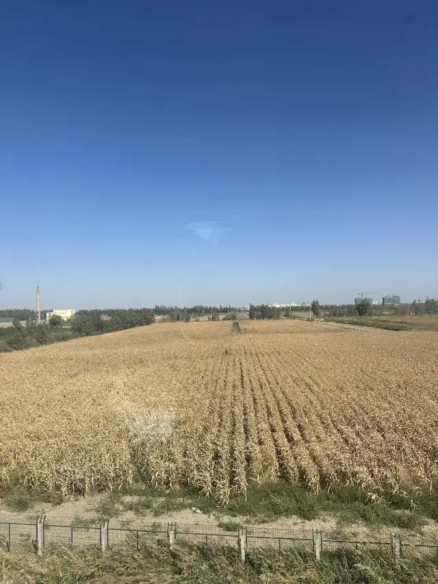 7-Day Journey Through Xining and Beyond: A Stunning Itinerary You Won't Want to Miss