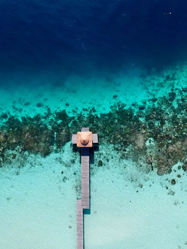 7-Day Visa-Free Itinerary for Malaysia: Explore the Essence of Malaysia