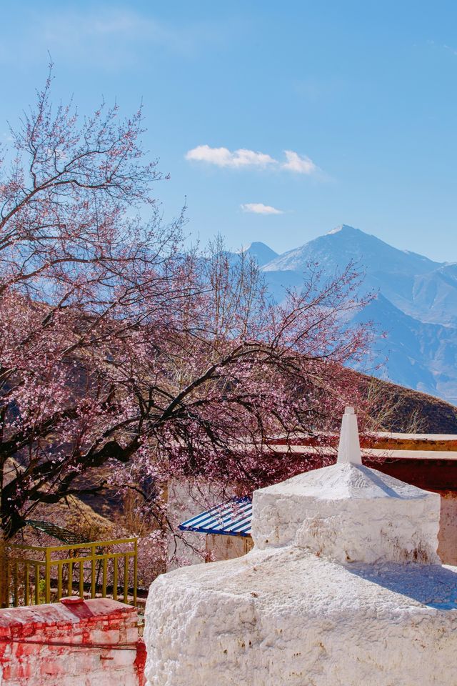拉薩小眾旅行地，這裡的桃花比布宮還要美