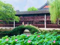青浦曲水園親子探幽記｜古典園林裡的童趣時光🪁