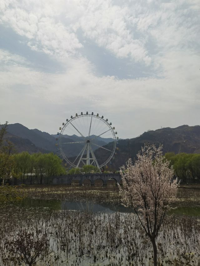 春分至萬物生 快來棣花古鎮賞花看柳