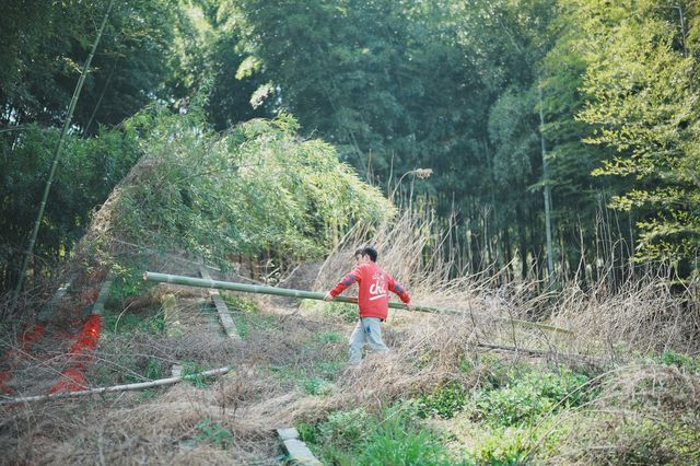 路遙知「虎」力，「捷」伴來 Hiking