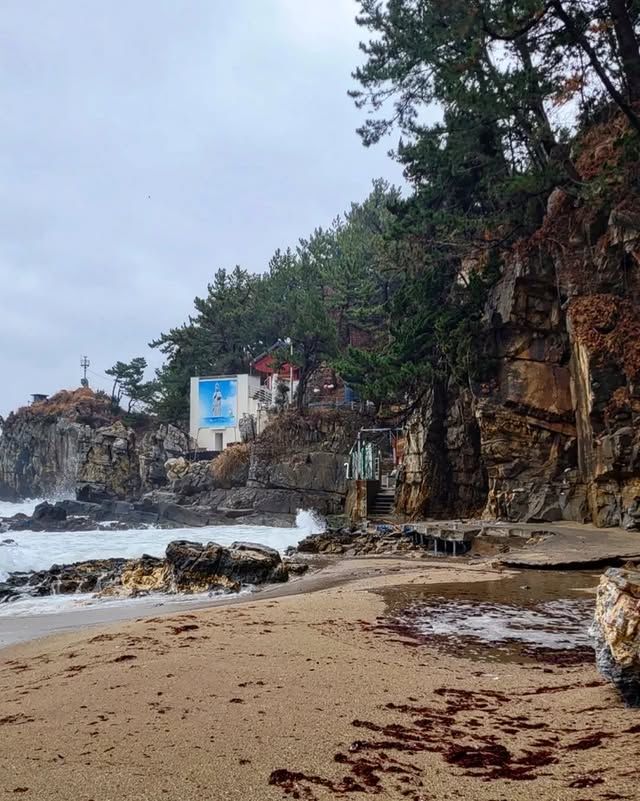 東海港——韓國東海市的「海鮮天堂」！