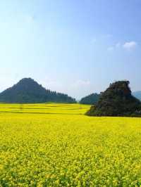 6日暢遊昆明等地行程大揭秘 玩轉雲南不踩雷
