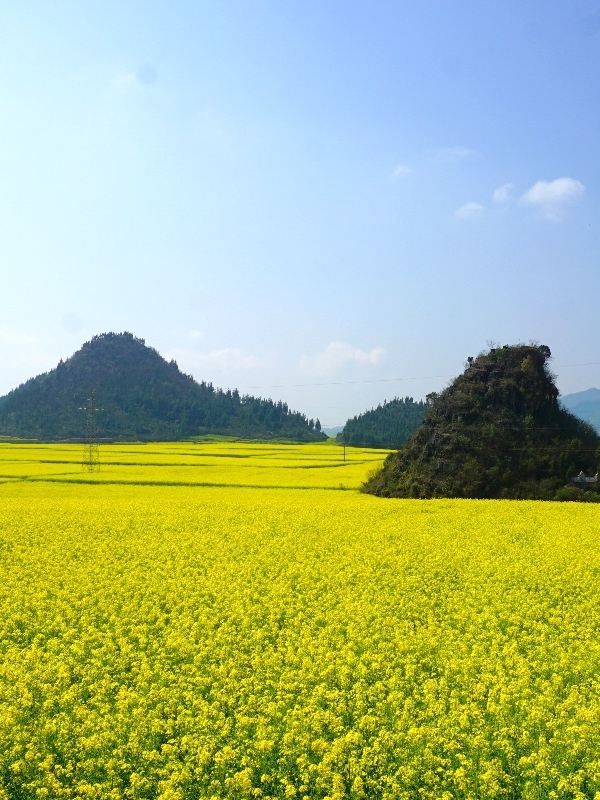6日暢遊昆明等地行程大揭秘 玩轉雲南不踩雷