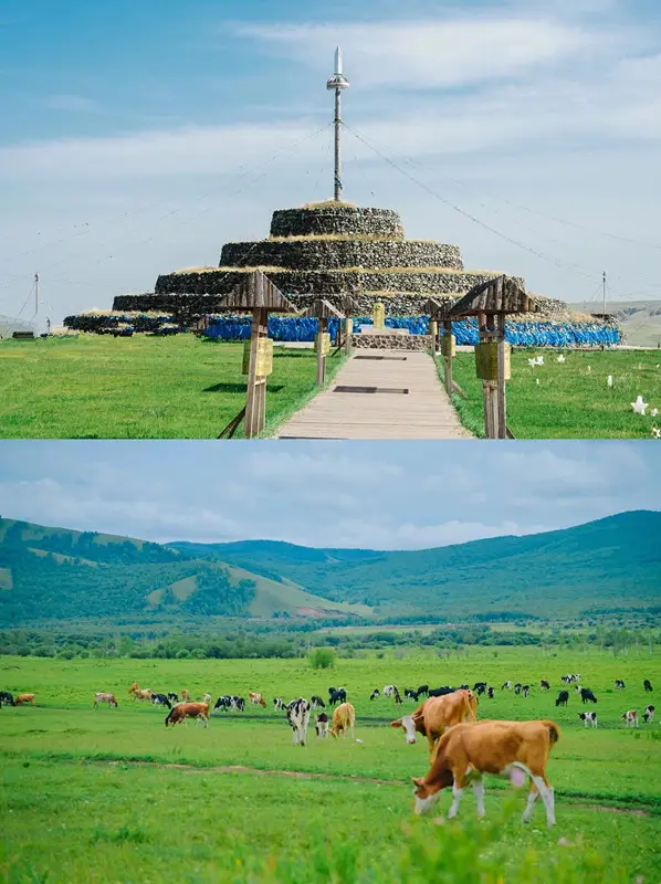 훌룬베이르｜2025 초원 육아 신규 플레이