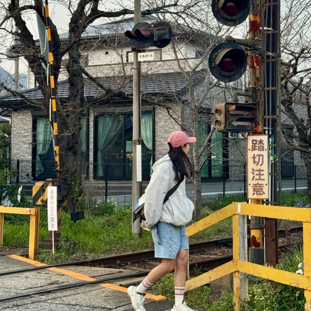 日本京都私藏賞櫻秘境｜空氣都瀰漫著浪漫櫻花香🌸