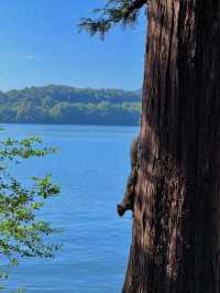Discover the Beauty of West Lake with a 30,000-Step Adventure!