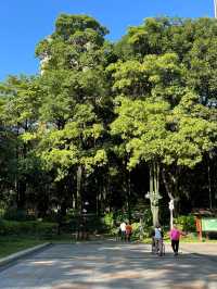 珠江公園：鬧市中的綠色明珠
