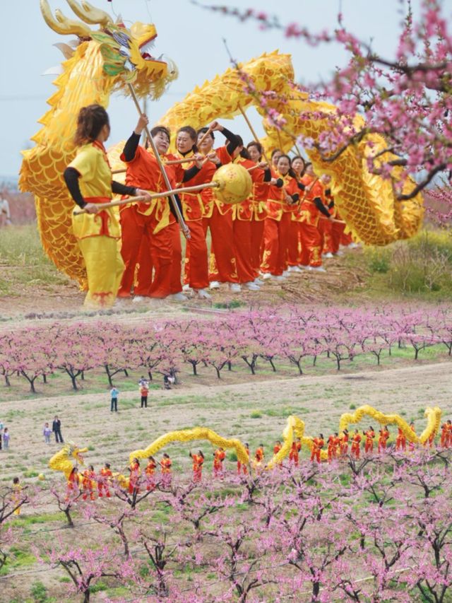 滁州桃花節，赴一場春日之約