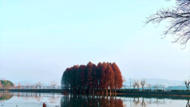 黿頭渚2025年最新攻略
