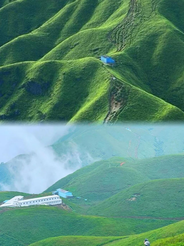 吐血整理武功山超全攻略，小白必看